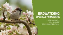 Birdwatching al Parco La Mandria