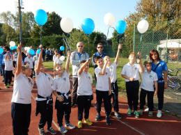 Suprema Odb, La Squadra... e le squadre