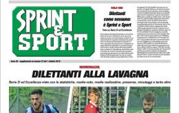 Inserto speciale: la Serie D e l'Eccellenza viste attraverso i numeri