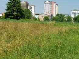 Il &laquo;Bozino&raquo; di Vercelli finalmente resuscita
