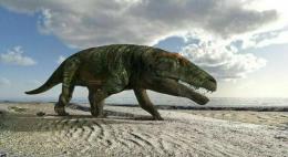 Coccodrilli trovati recentemente nella cuneese Valle Maira