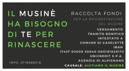 Il direttivo del Caselette si autotassa per la riforestazione del Musinè