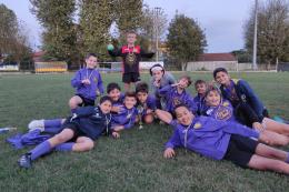 San Luigi Santena dei Pulcini Misti, un micro-universo da scoprire