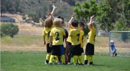 Festa Provinciale, entusiasmo a Grugliasco