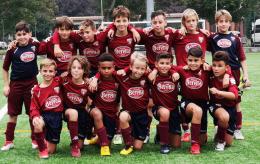 Racconto di un papà: una domenica tra galli, polli e Pulcini