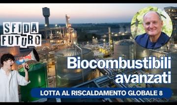 La pecora è un animale che ci fornisce un doppio alimento e le cose non interferiscono tra di loro
