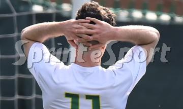 CALCIO GIOVANILE PIEMONTE GIUDICE SPORTIVO