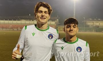 Di Martino Amoruso Rapp