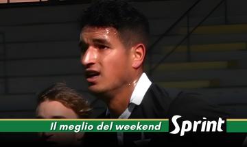 PROMOZIONE PIEMONTE NEWS