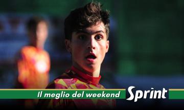 ECCELLENZA PIEMONTE NEWS