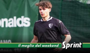 Tommaso Cavicchioli - Iris