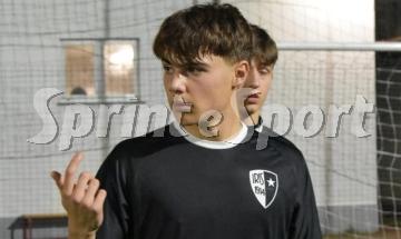 Tommaso Cavicchioli - Iris