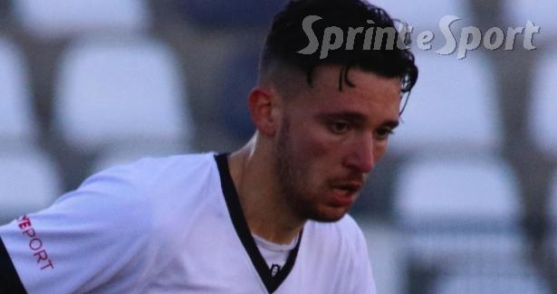 PINETO SERIE C - GIOVANNI BRUZZANITI