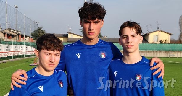 Sironi Fanelli Quaggia Lombardia