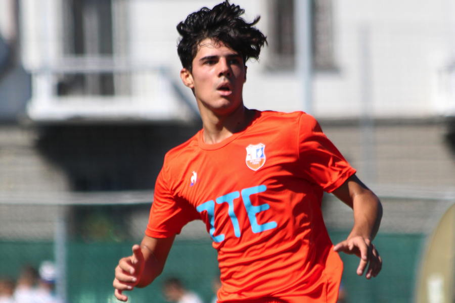 Andrea Cozzi, Alcione