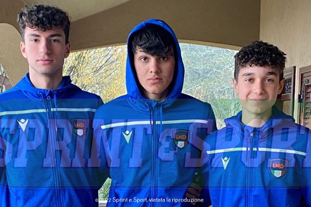 GAMBA, MIGLIORE E PREGNOLATO