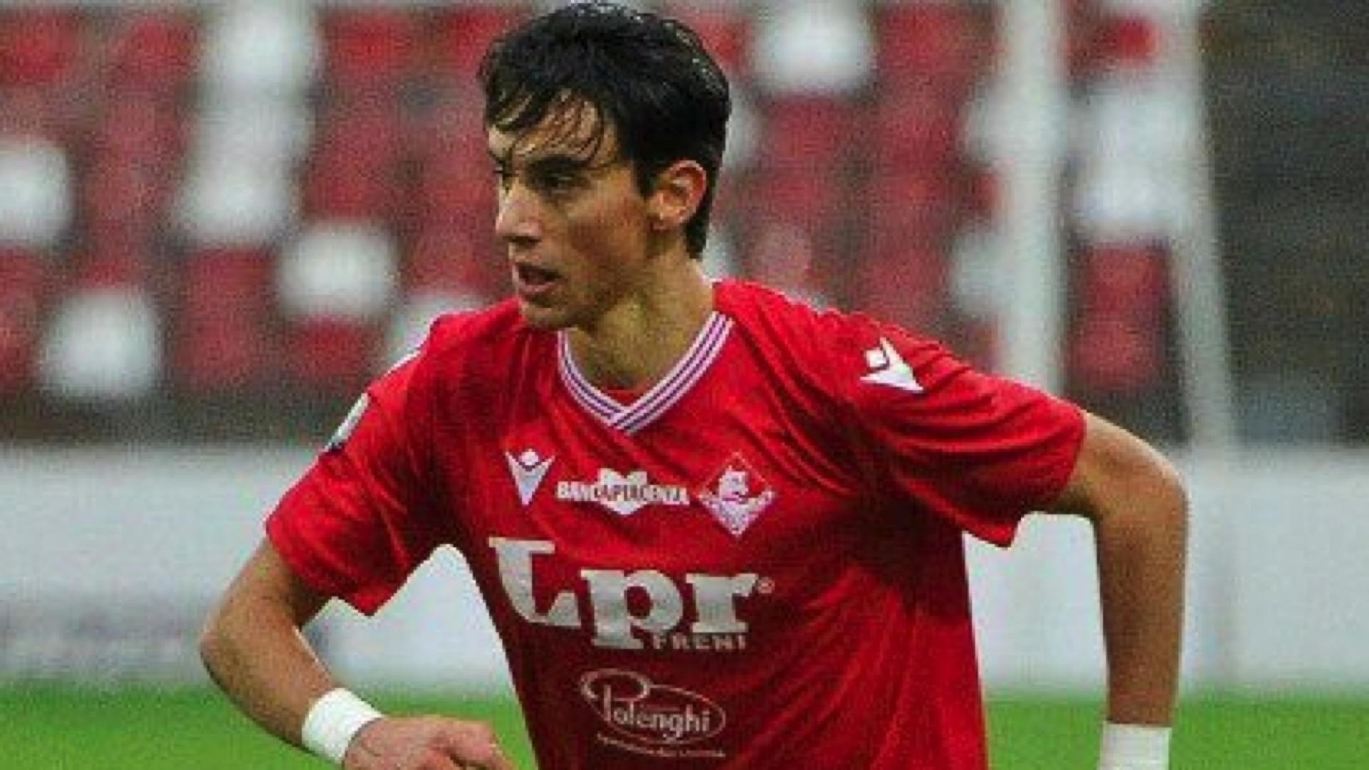 c c c c c c c c c c c c c c c