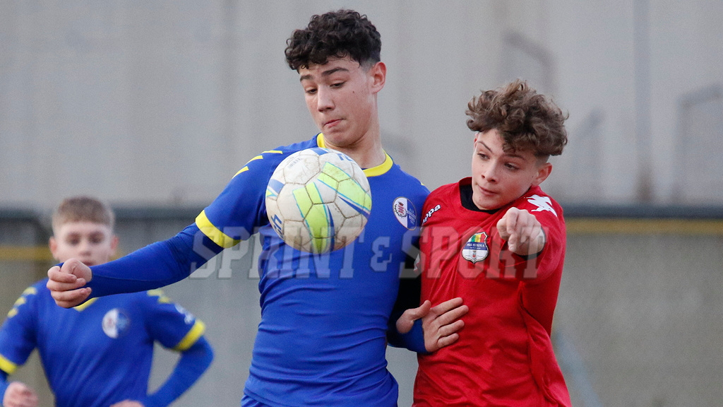 amendolagine bazzoni