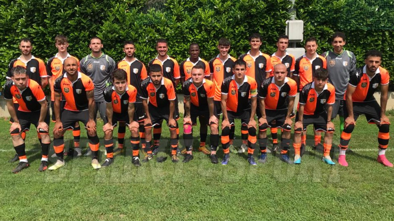 Aviglianese Aviglianese Aviglianese