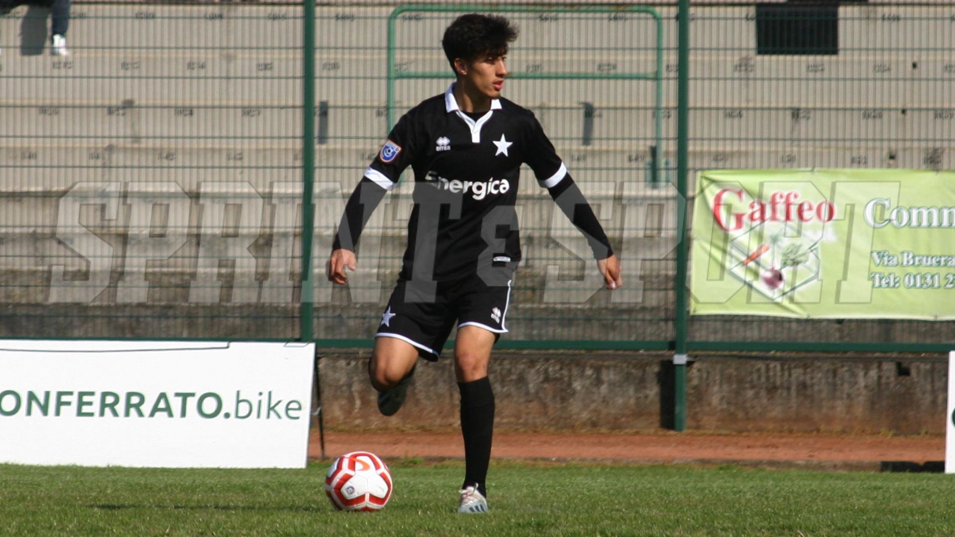 CASALE SERIE D - FEDERICO ROMEO.