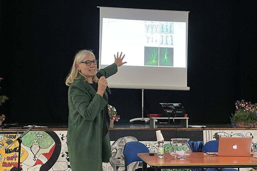 I benefici dello sport