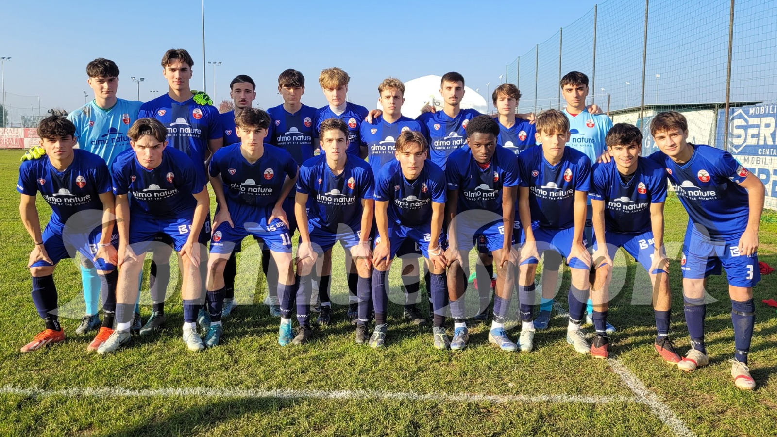 Il Cuneo Olmo di Tolu.