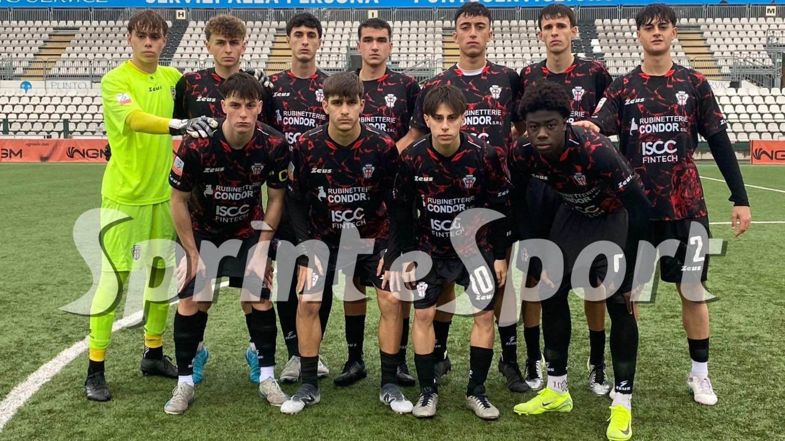 Pro Vercelli, Primavera 2