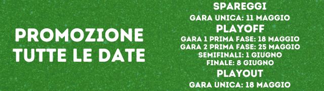 PROMOZIONE PIEMONTE REGOLAMENTO