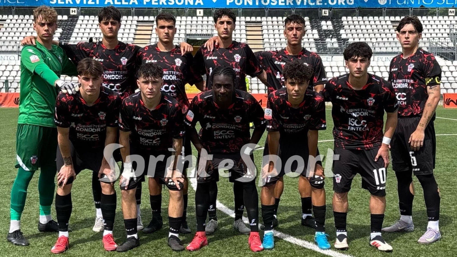 Pro Vercelli, Primavera 2