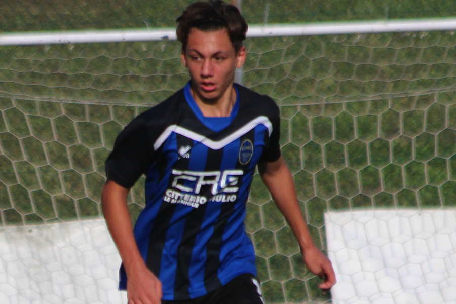 Samuele Rosa, Renate